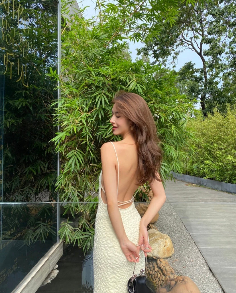 Plush French Style Long Dress